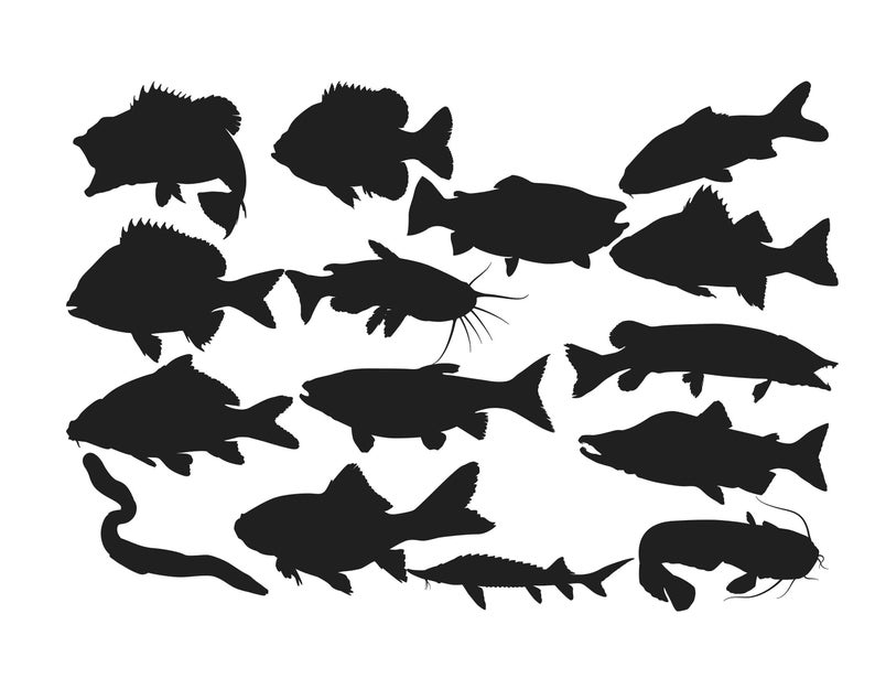 794x635 Fresh Water Fish Silhouette Fish Clipart Fish Silhouette Etsy