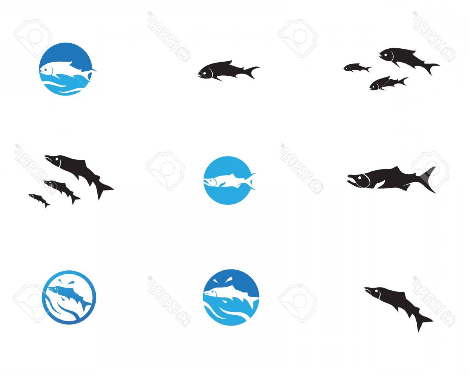 1560x1248 Photostock Vector Fish Vector Silhouette Template Salmon