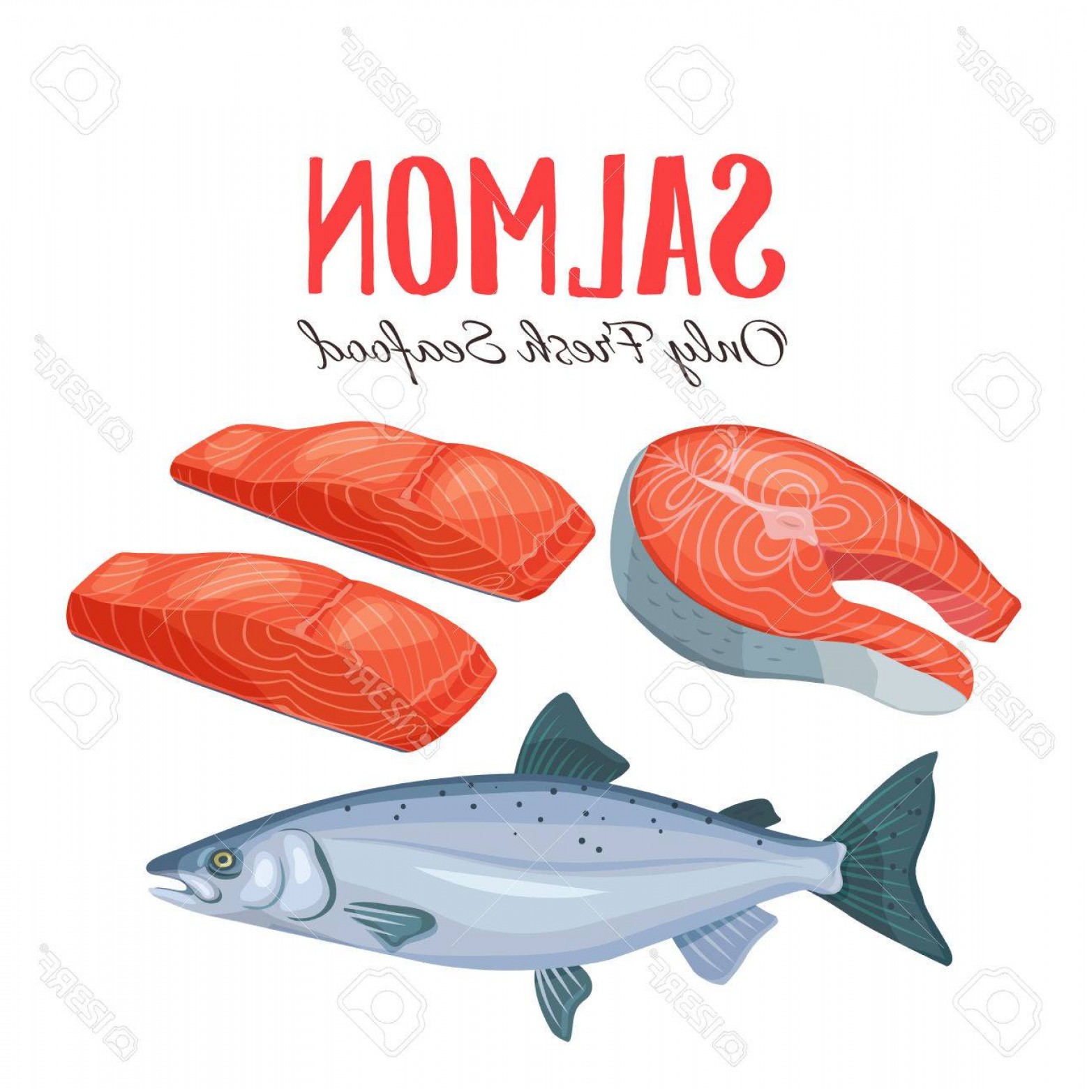 Salmon Vector at Vectorified.com | Collection of Salmon Vector free for ...