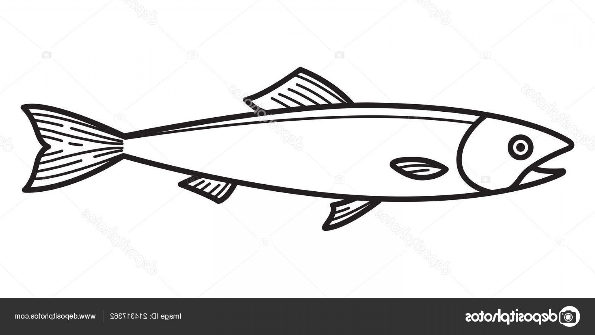 1920x1080 Salmon Vector Black Hoodamathrun