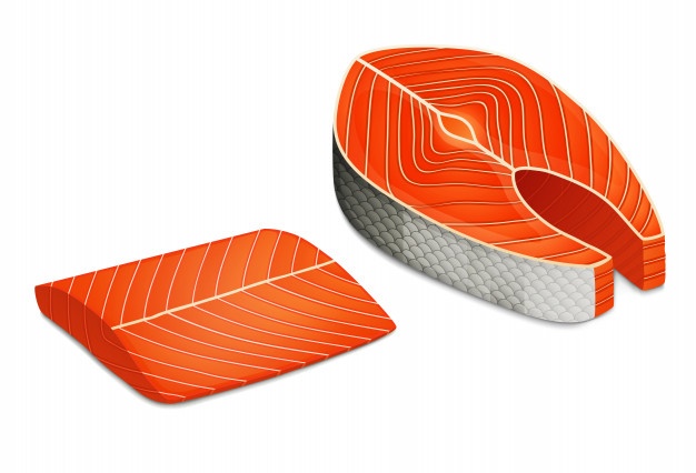 626x426 Salmon Vectors, Photos And Free Download