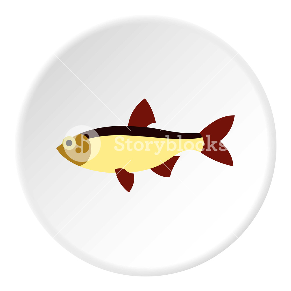 1000x1000 Salmon Icon Flat Illustration Of Salmon Vector Icon For Web