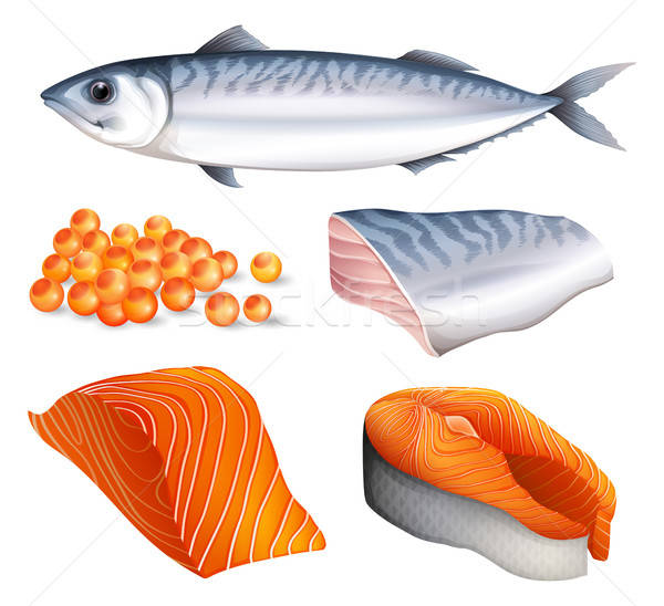 Salmon Vector at Vectorified.com | Collection of Salmon Vector free for ...