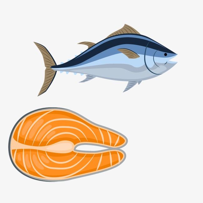 650x650 A Combination Of Salmon, Vector Seafood, Marine Life, Fish Png