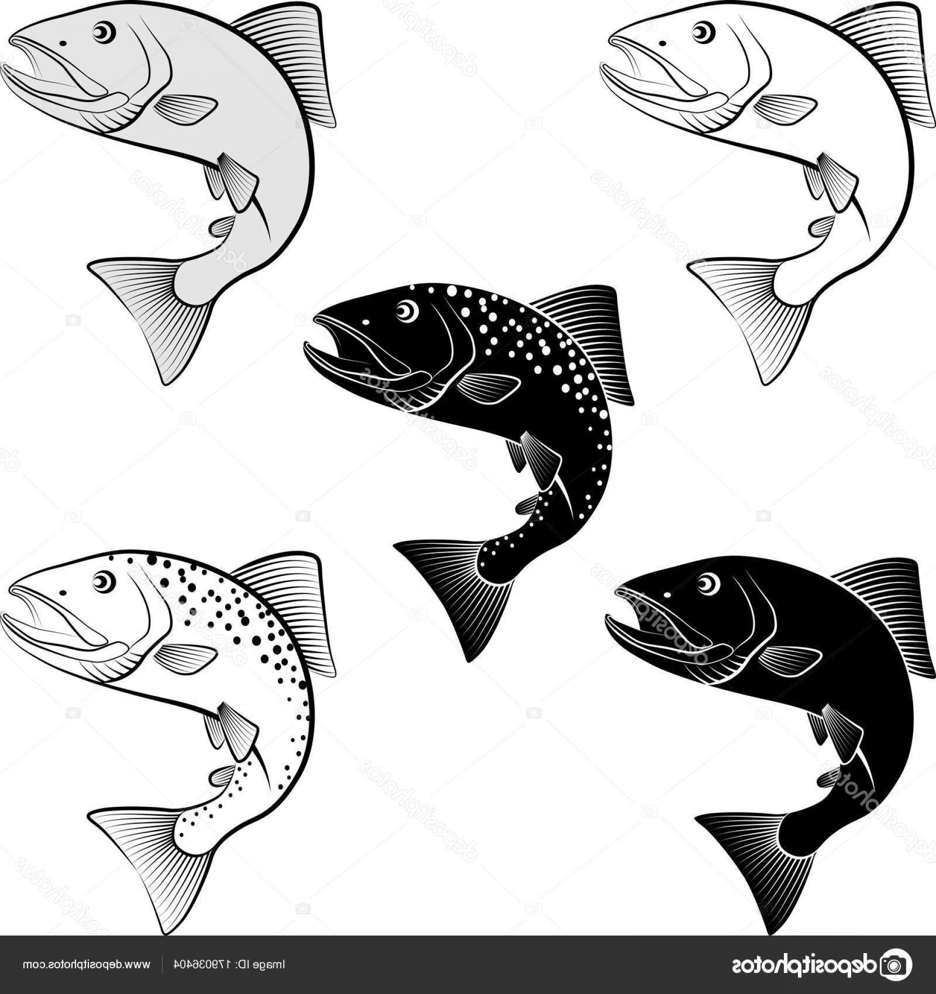 1920x2040 Stock Illustration Isolated Salmon Vector Illustration Geekchicpro