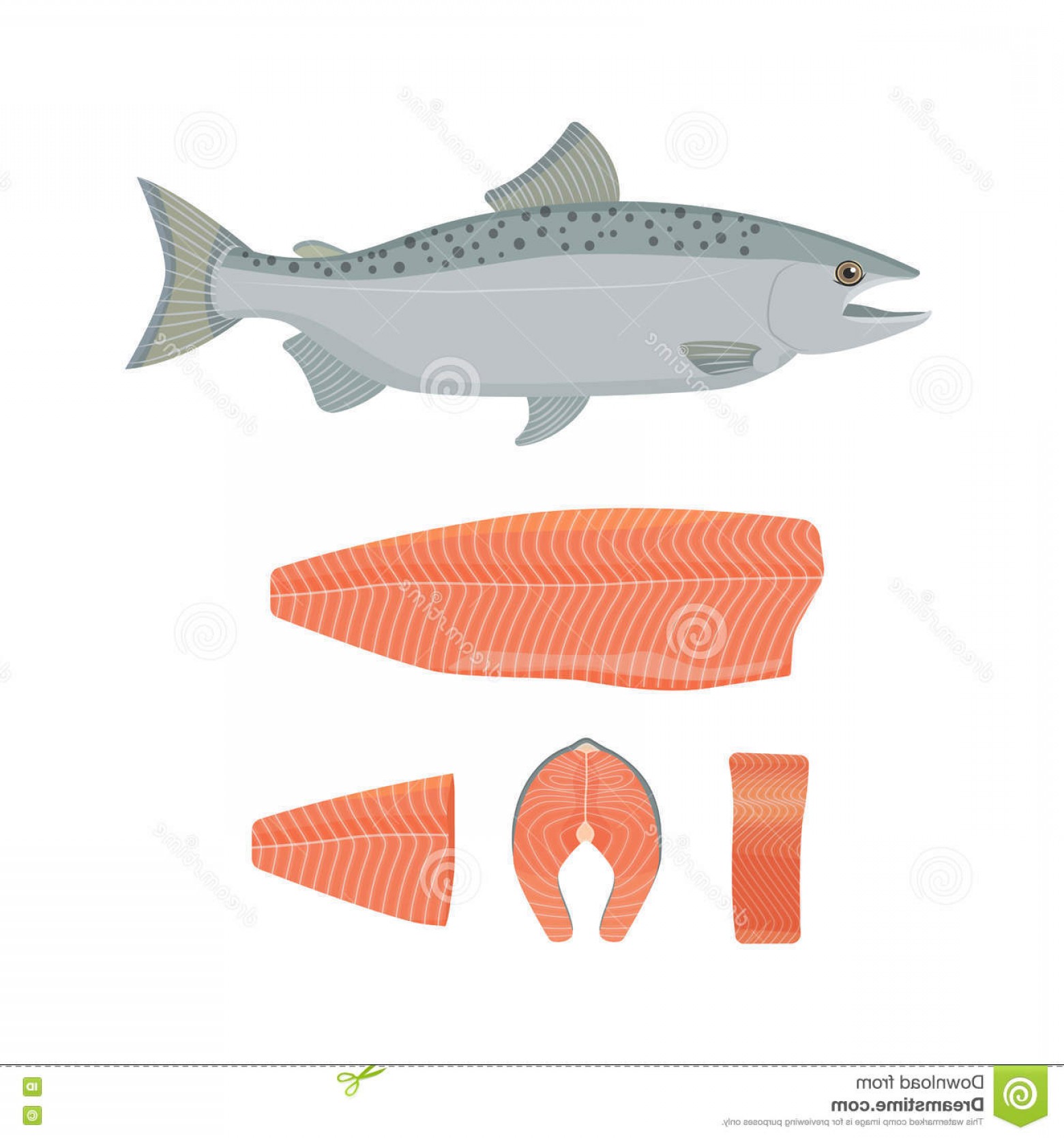 Salmon Vector at Vectorified.com | Collection of Salmon Vector free for ...