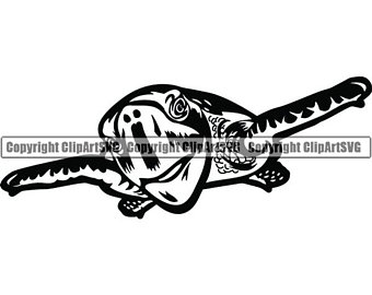 340x270 Salt Life Etsy