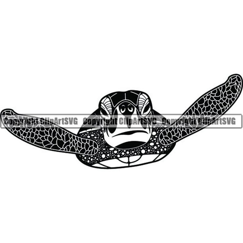 794x794 Turtle Sea Ocean Reptile Baby Salt Water Animal Wildlife Etsy