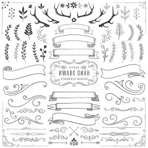 300x300 Salt Life Skull Vector Cqrecords