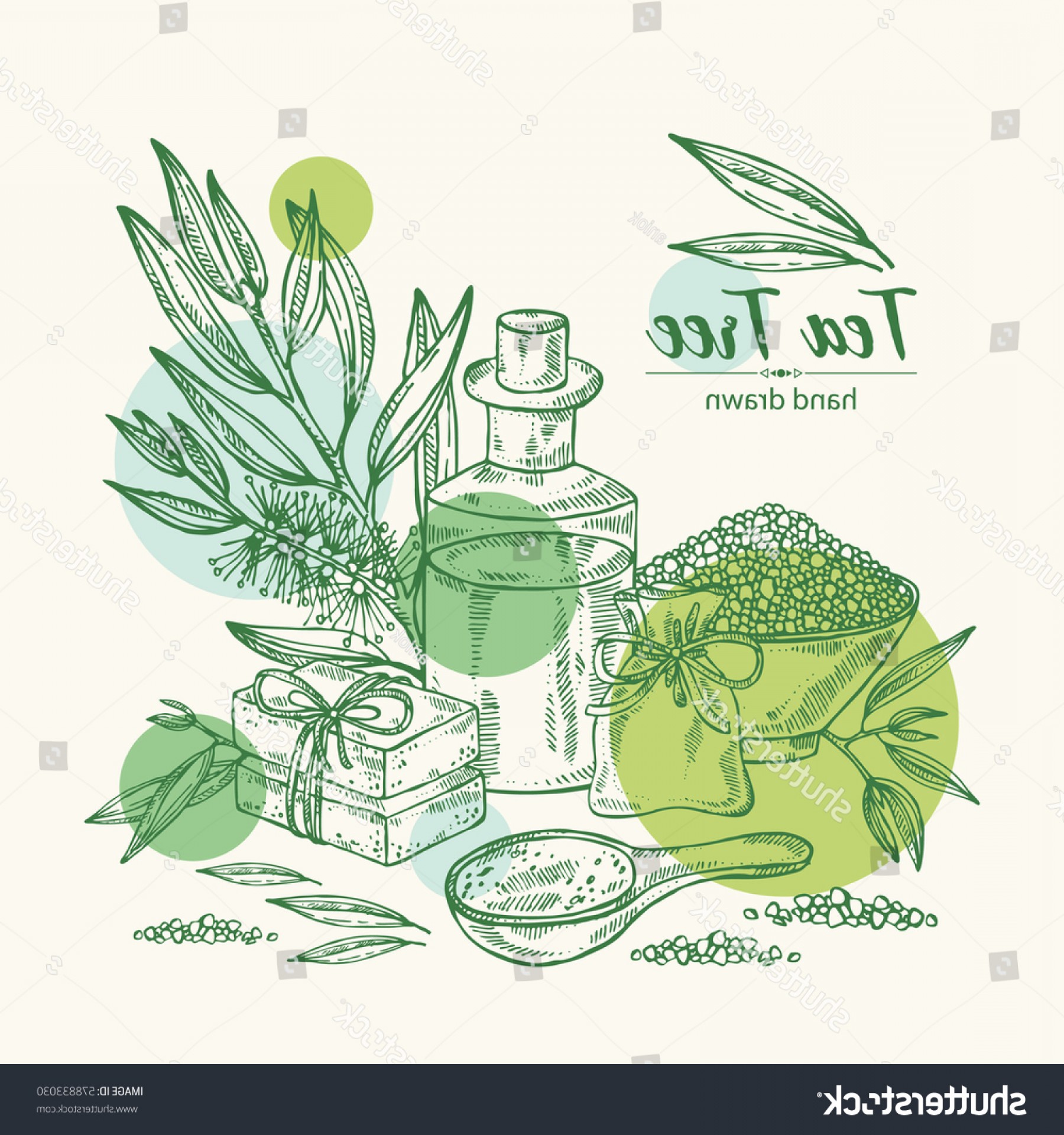 1800x1920 Salt Life Vector Flower Cultracing