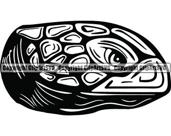 340x270 Salt Life Etsy