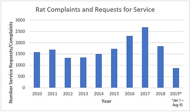 624x370 San Diego Rat Tales San Diego Reader
