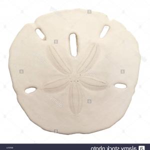 300x300 Latest Sand Dollar Vector At Getdrawings Free For Personal Use