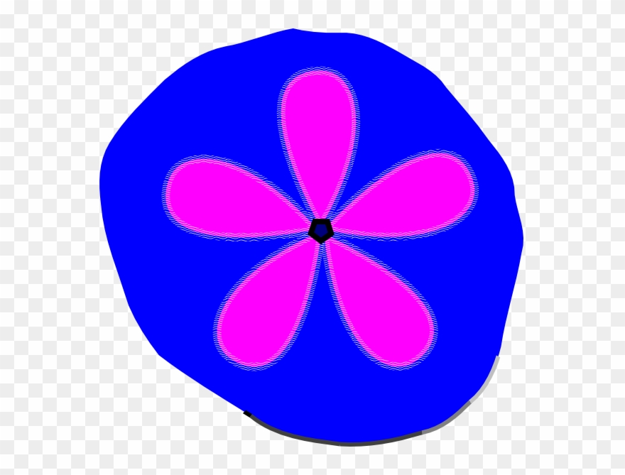 880x669 Sand Dollar Clip Art At Vector Clip Art