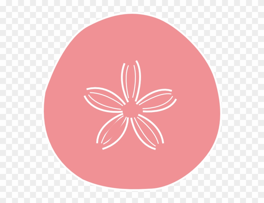 880x677 Sand Dollar Coral Clip Art At Vector Clip Art