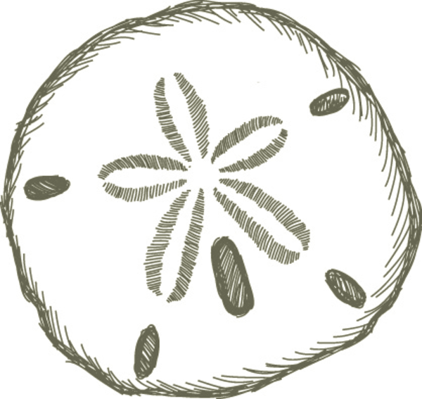 600x567 Sand Dollar Free Images At Vector Clip Art Online Crafty Corner