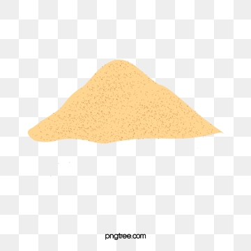 360x360 Sand Dollar Png, Vector, And Clipart With Transparent