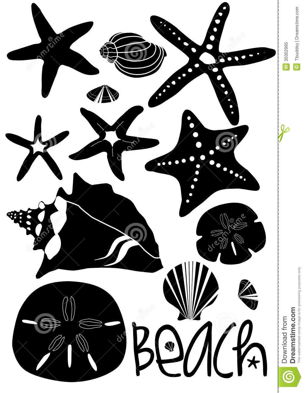 1009x1300 Seashells Sand Dollar Beach Set Stock Vector