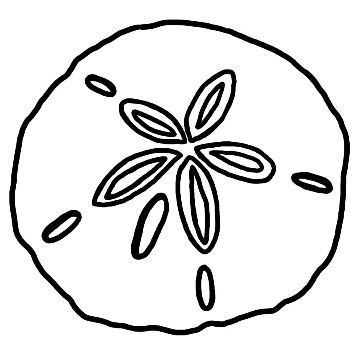 1200x1200 Stylish Sand Dollar Clipart Very Attractive Top Clip Art Vector