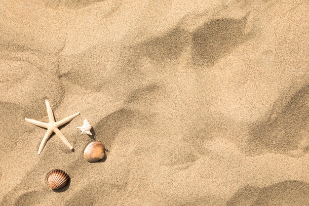 Sand Vectors, Photos And Free Download 626x417 Sand Vectors, Photos And Free Download
