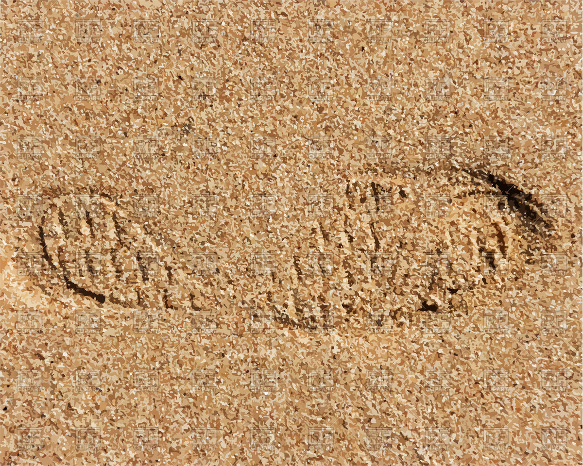 Sand Texture With Footprint Vector Image Of Travel Angelp 1200x960 Sand Texture With Footprint Vector Image Of Travel Angelp