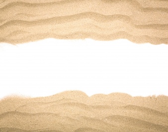 Sand Vector