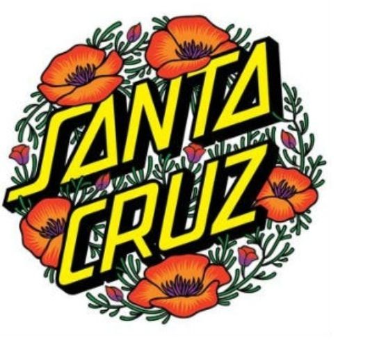 545x499 Santa Cruz Logos