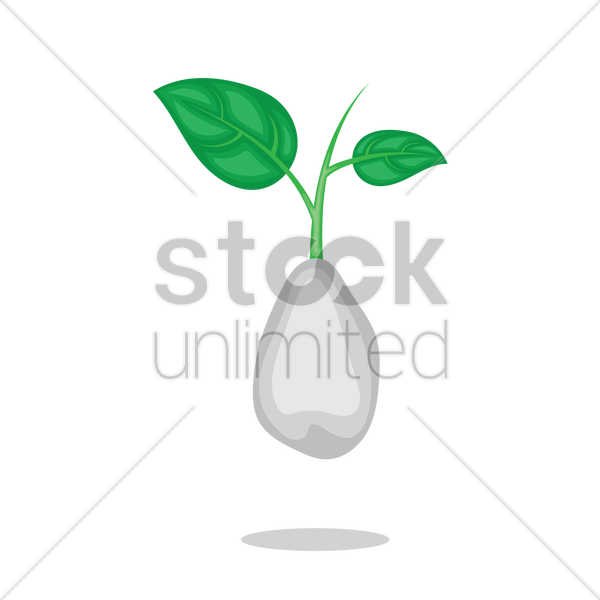 600x600 Free Plant Sapling Vector Image