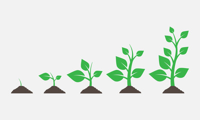 400x240 Sapling Vector Photos, Royalty Free Images, Graphics, Vectors