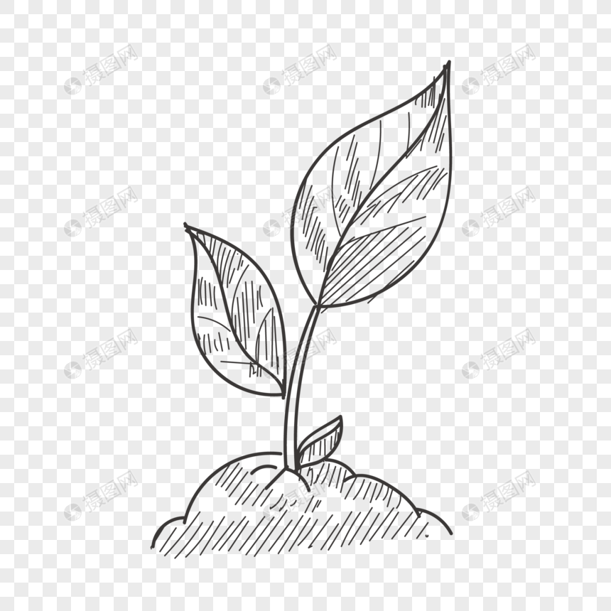 860x860 Sapling Vector Png Image Picture Free Download