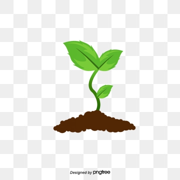 Sapling Vector at Vectorified.com | Collection of Sapling Vector free ...