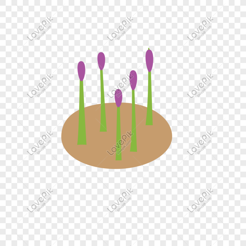 860x860 Small Sapling Vector Illustration Png Png Image Picture Free