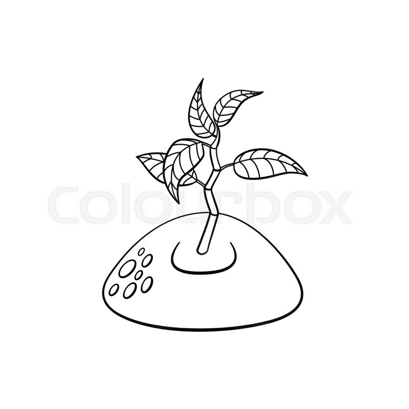 800x800 Sprouting From Ground Seedling, Stock Vector Colourbox