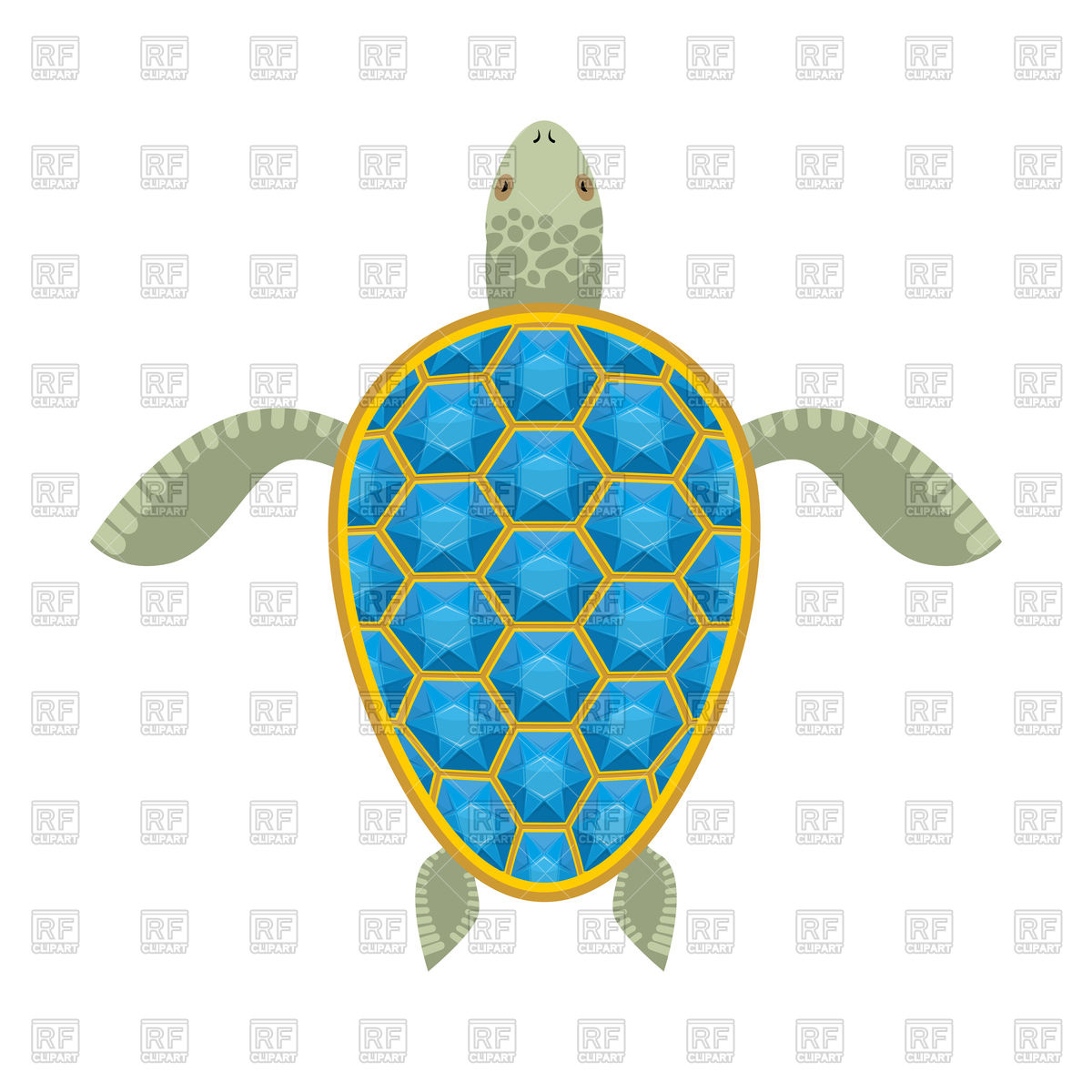 1200x1200 Turtle With Sapphire Carapace Vector Image Of Plants And Animals