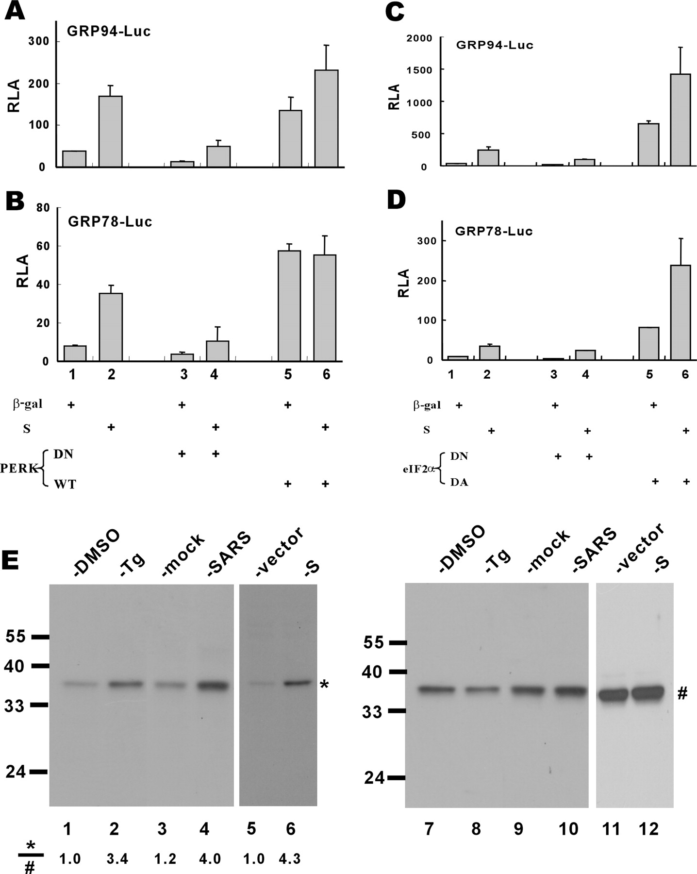 1436x1800 Modulation Of The Unfolded Protein Response