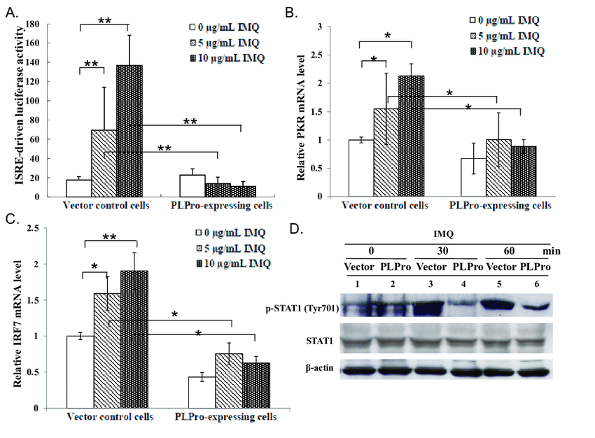 850x626 Inhibitory Effect Of Sars Cov Plpro On Agonist Induced