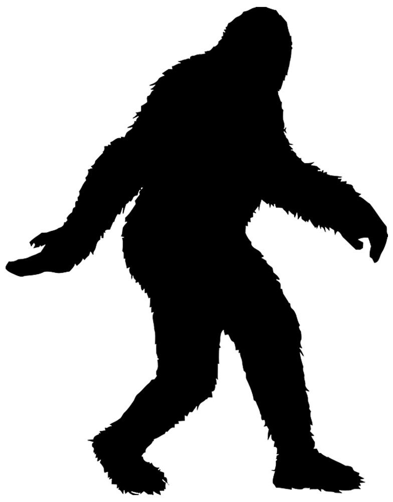784x1000 Sasquatch Bigfoot Vector