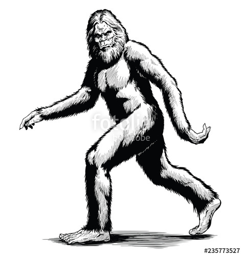 475x500 Walking Sasquatch Vector Illustration In Black And White Stock