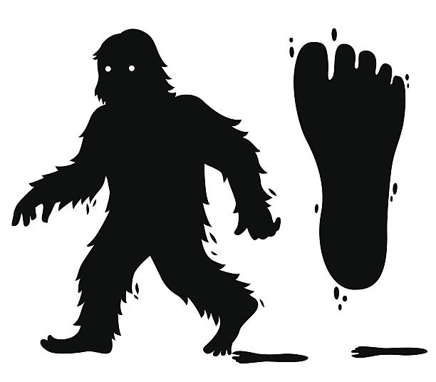 612x536 Big Foot Clipart