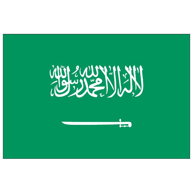 Download Saudi Arabia Flag Vector at Vectorified.com | Collection ...