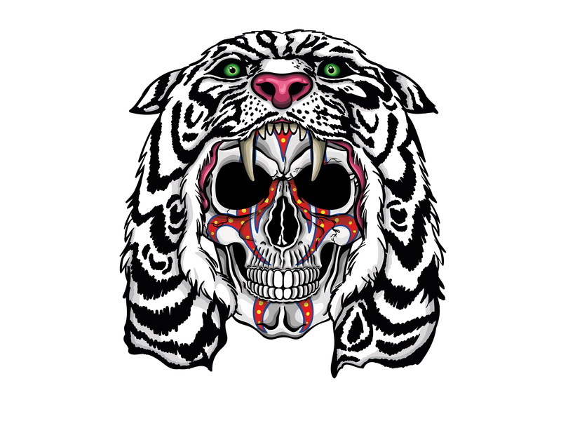 Savage Tiger And Skull 800x600 Savage Tiger And Skull