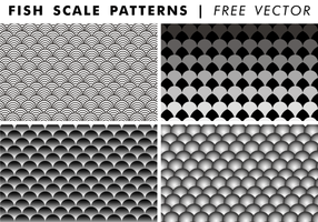 286x200 Fish Scales Free Vector Art