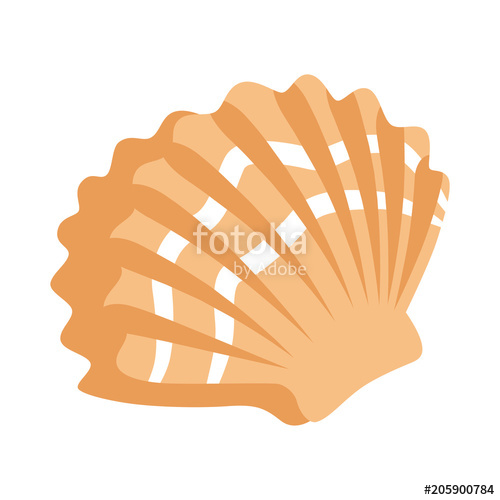 500x500 Scallop Seashell Clip Art Icon Stock Image And Royalty Free