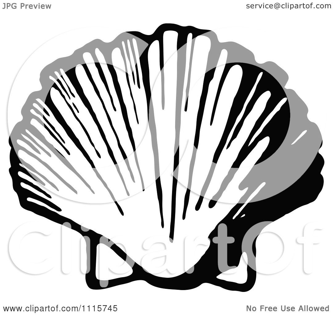 1080x1024 Clipart Retro Vintage Black And White Scallop Shell
