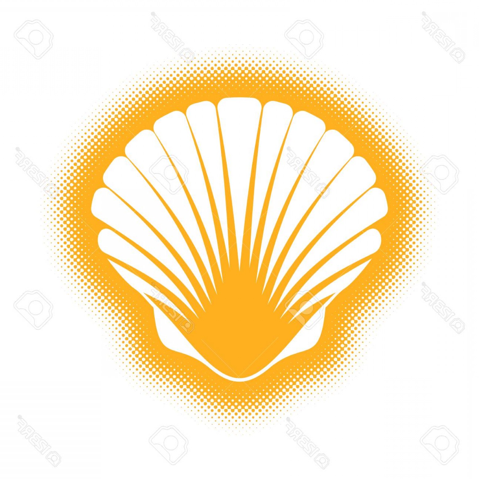 1560x1560 Scallop Silhouette Vector Catamart