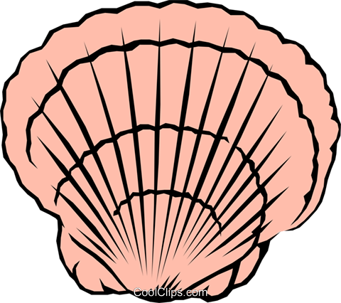 Scallop Shell Vector at Vectorified.com | Collection of Scallop Shell ...