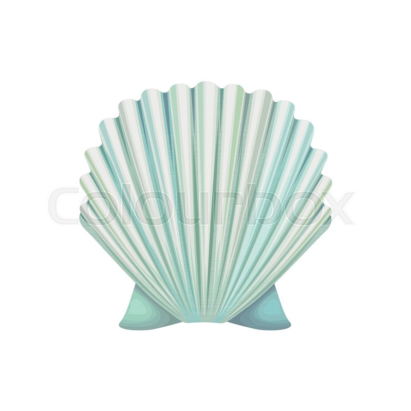 800x800 Detailed Icon Of Scallop Shell Ocean Stock Vector Colourbox