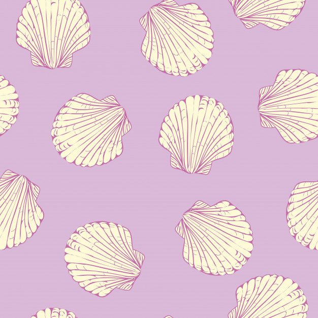 626x626 Seamless Pattern With Hand Drawn Scallop Shells Vector Premium