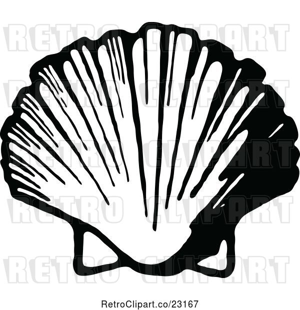 600x620 Vector Clip Art Of Retro Scallop Shell