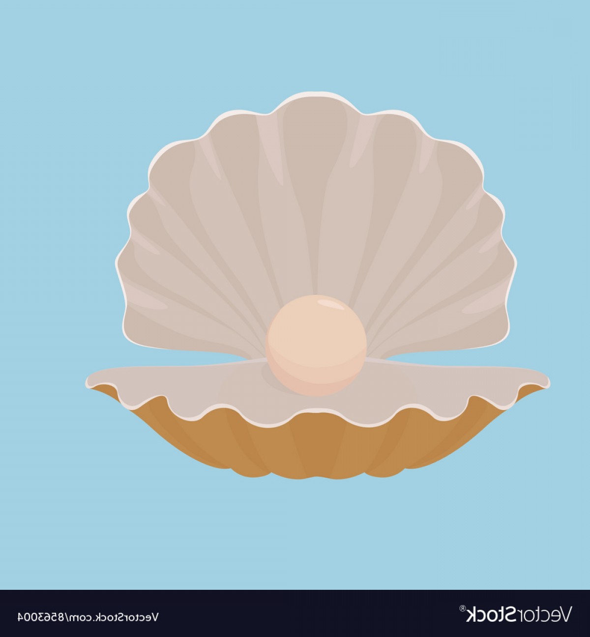 1200x1296 Vector Scallop Box Lamaison